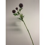 THISTLE | BROWN PURPLE | 70 CM
