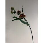 MILKWEED | ORANGE | 65 CM