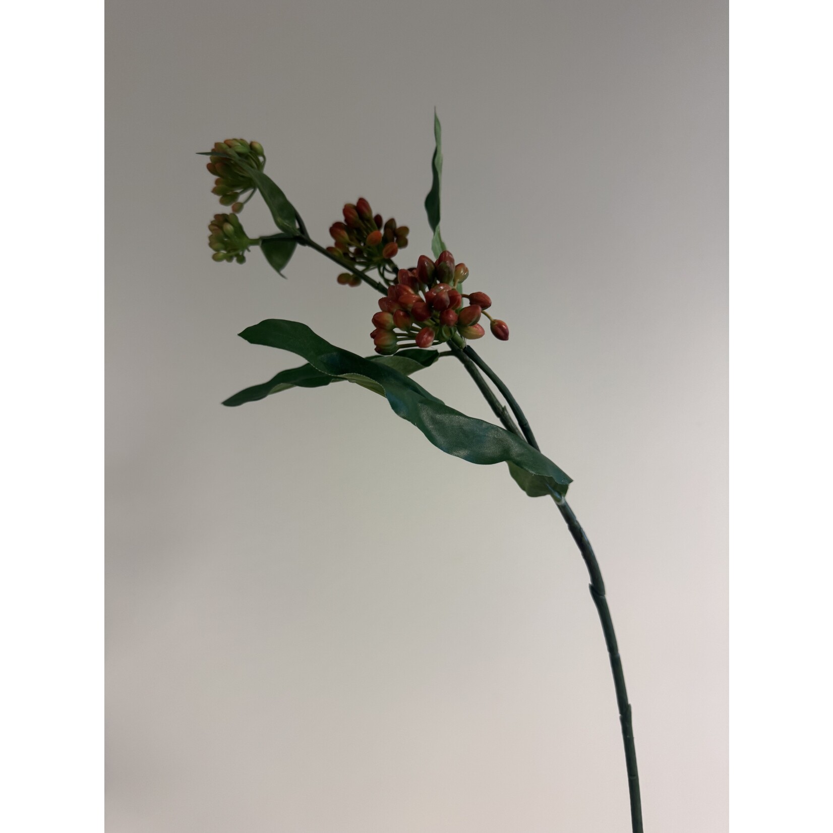 ZIJDEPLANT | ORANJE | 65 CM