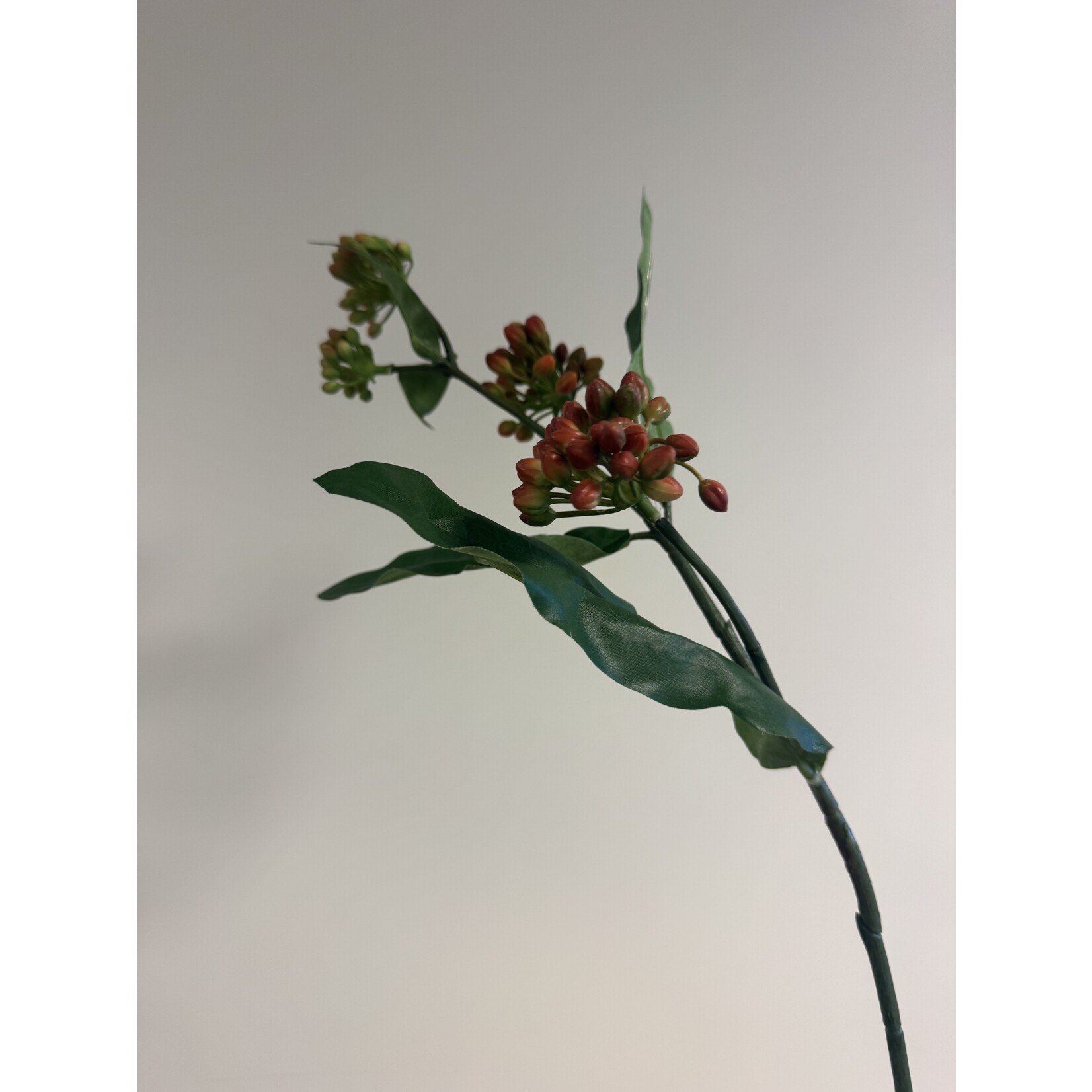 ZIJDEPLANT | ORANJE | 65 CM