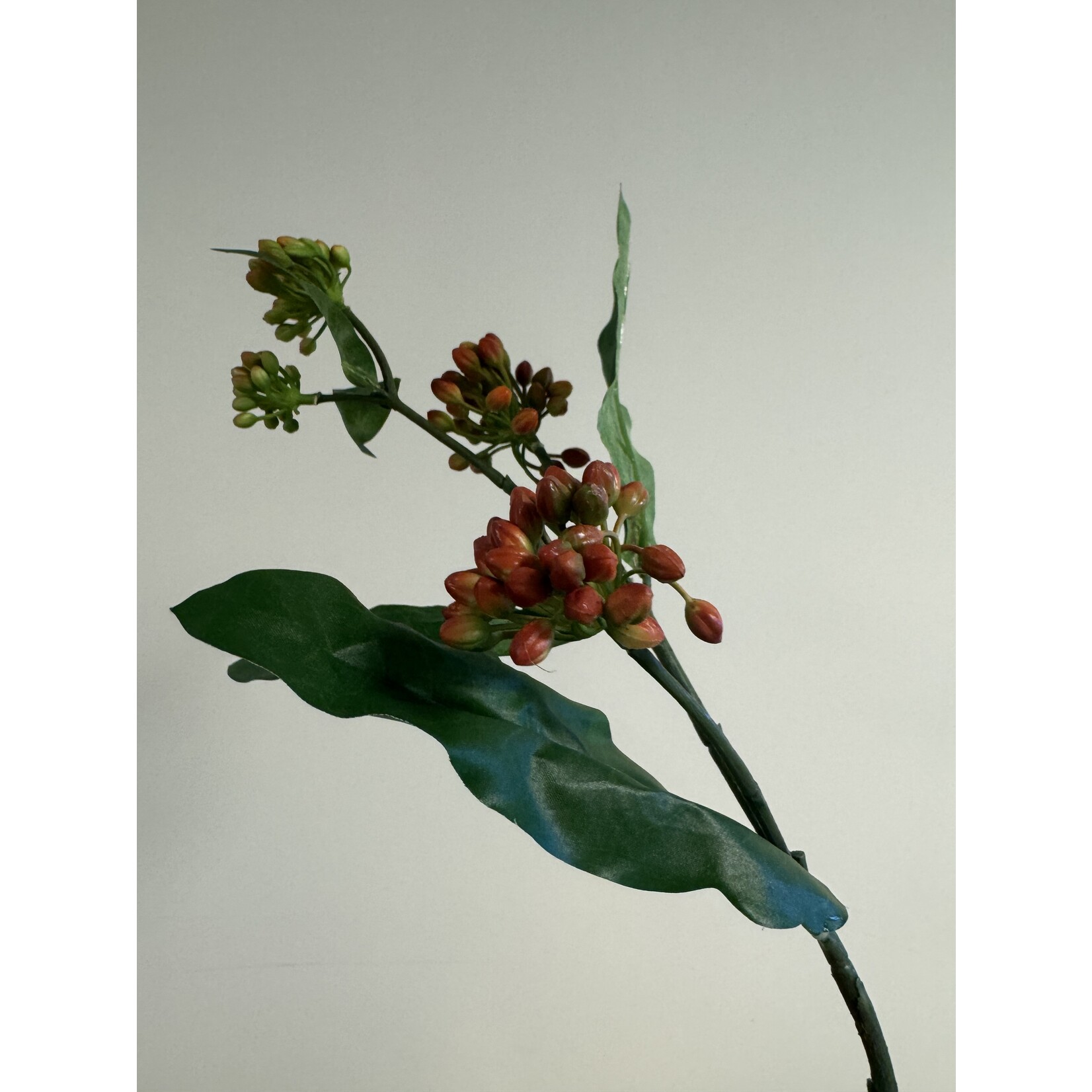 ZIJDEPLANT | ORANJE | 65 CM