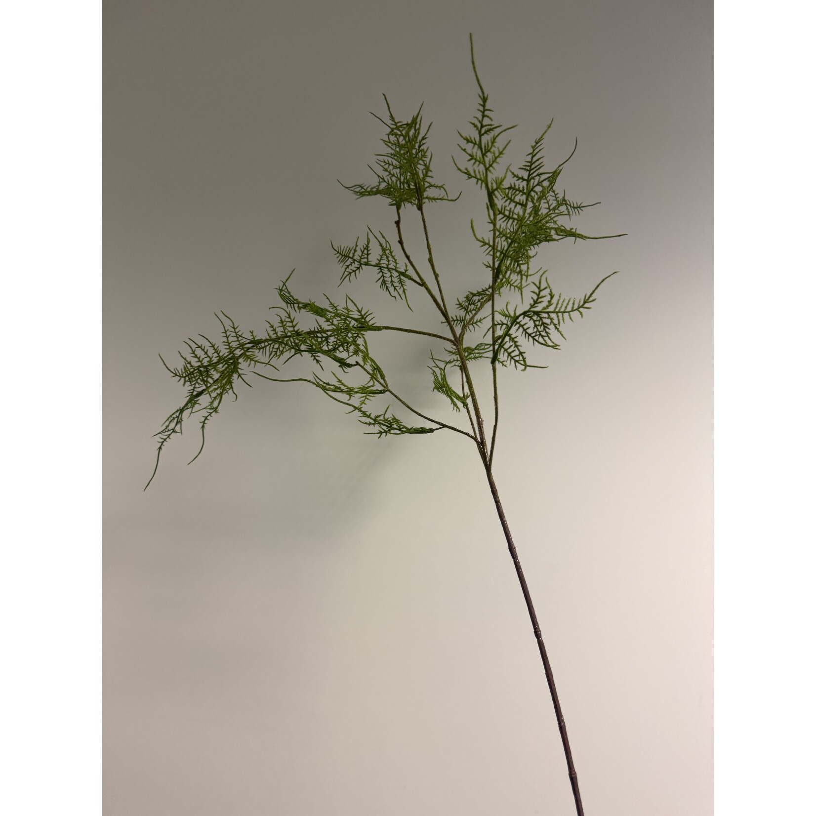 FERN BRANCH | GREEN | 87 CM
