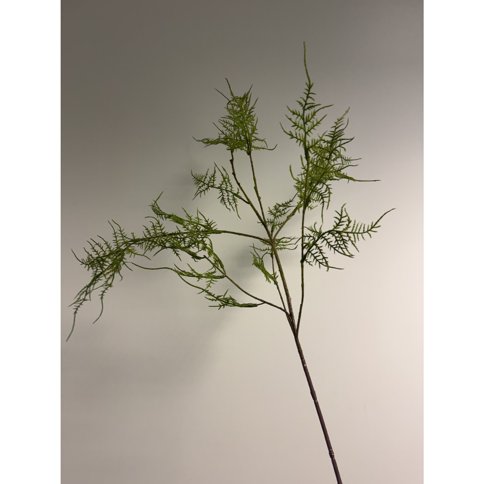 FERN BRANCH | GREEN | 87 CM