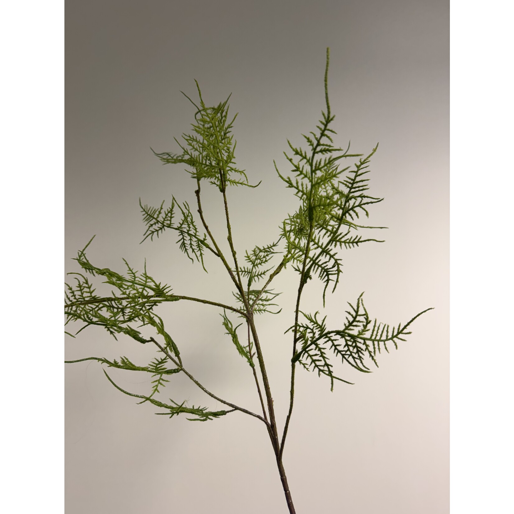 VAREN TAK | GROEN | 87 CM