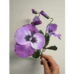 VIOOLTJE | PAARS | 24 CM
