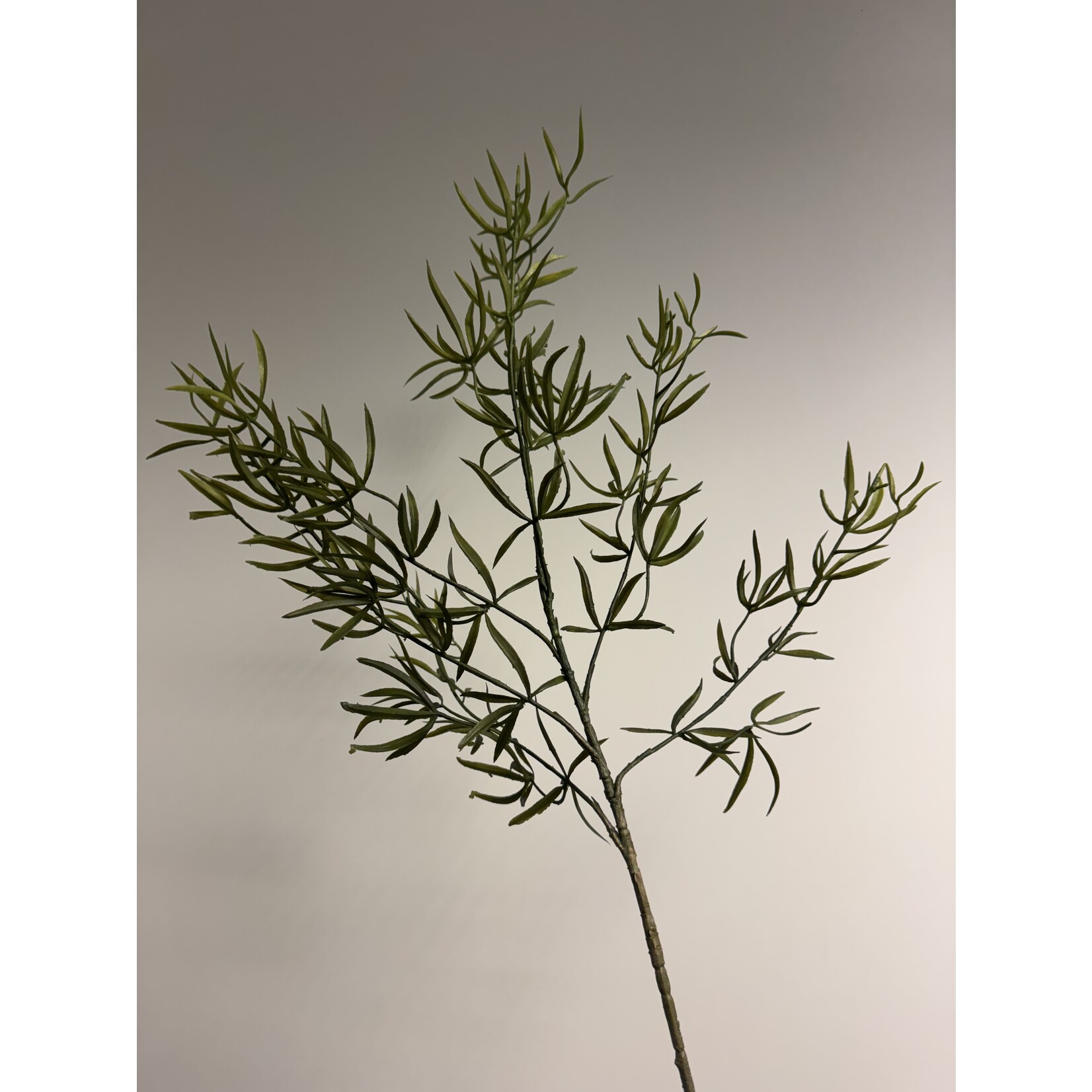 ASPARAGUS SPRAY | GREEN | 83 CM