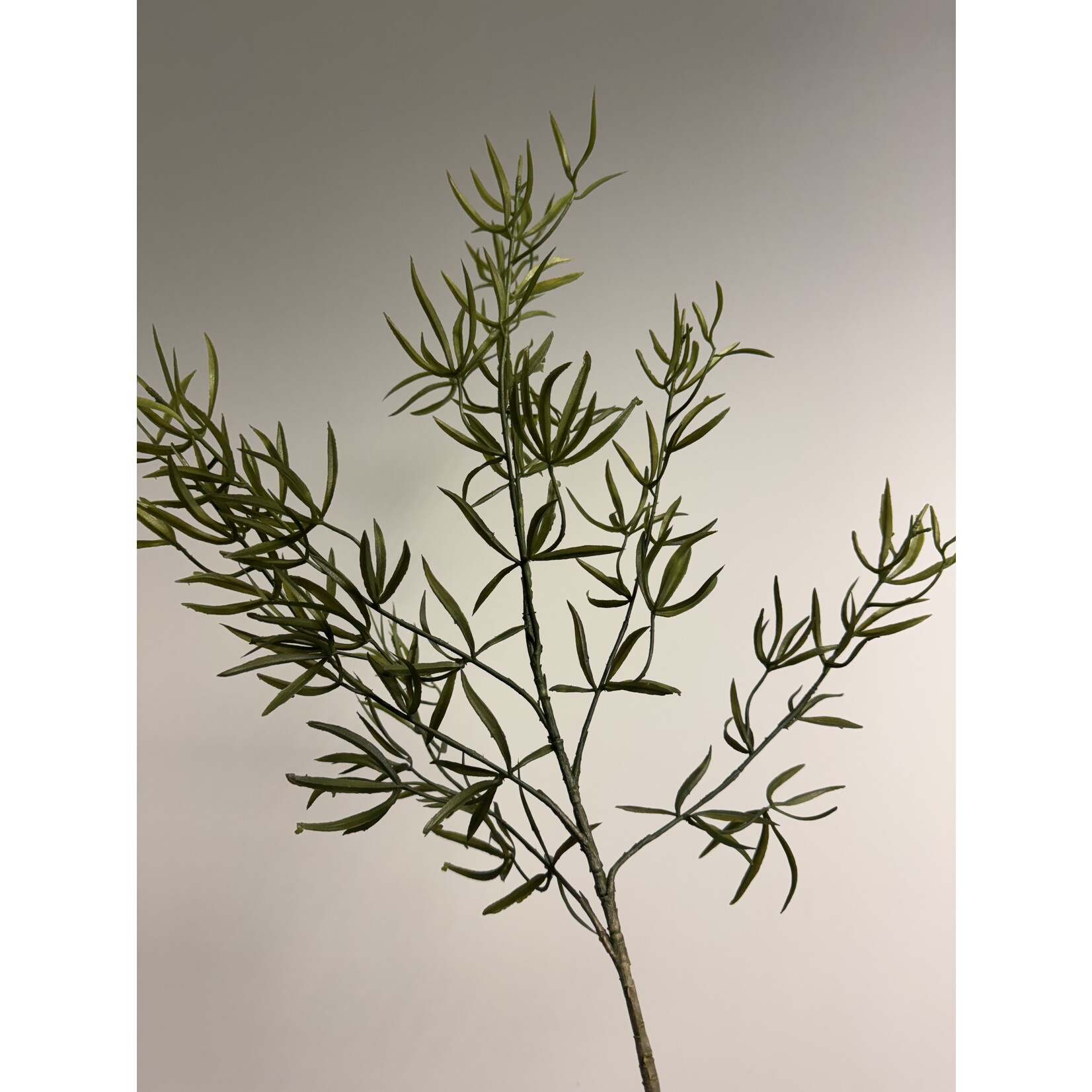 ASPARAGUS SPRAY | GREEN | 83 CM
