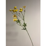 BUTTERCUP | YELLOW | 60 CM