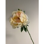 PEONY ROSE | YELLOW | 60 CM