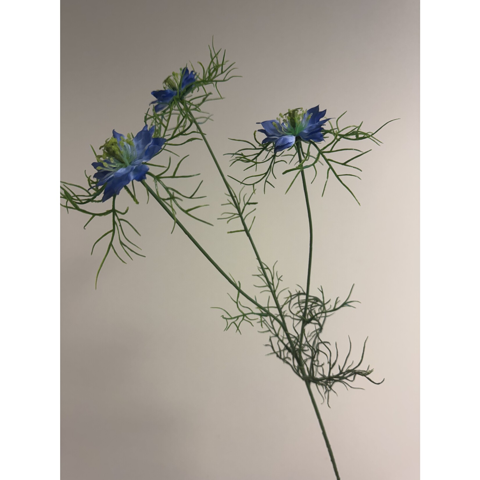 JUFFERTJE IN 'T GROEN | BLAUW | 62 CM