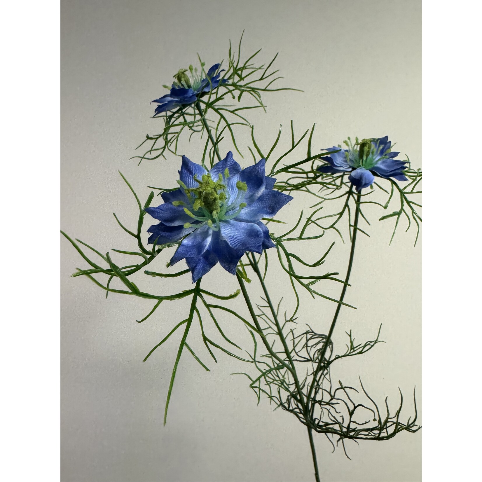 JUFFERTJE IN 'T GROEN | BLAUW | 62 CM