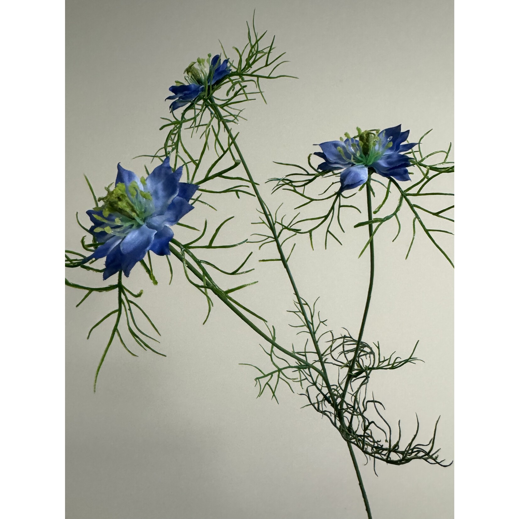 JUFFERTJE IN 'T GROEN | BLAUW | 62 CM