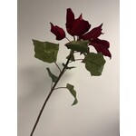KERSTSTER |ROOD | 80 CM