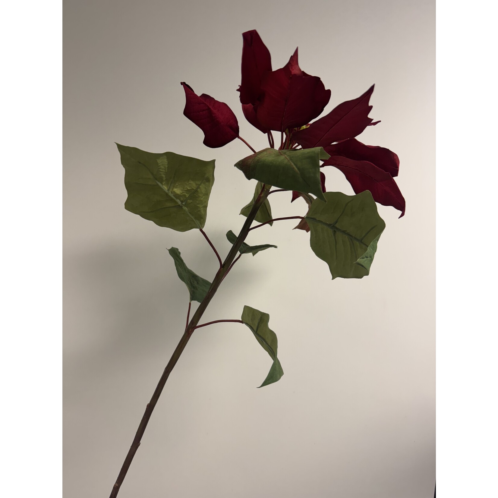 POINSETTIA | RED| 80 CM