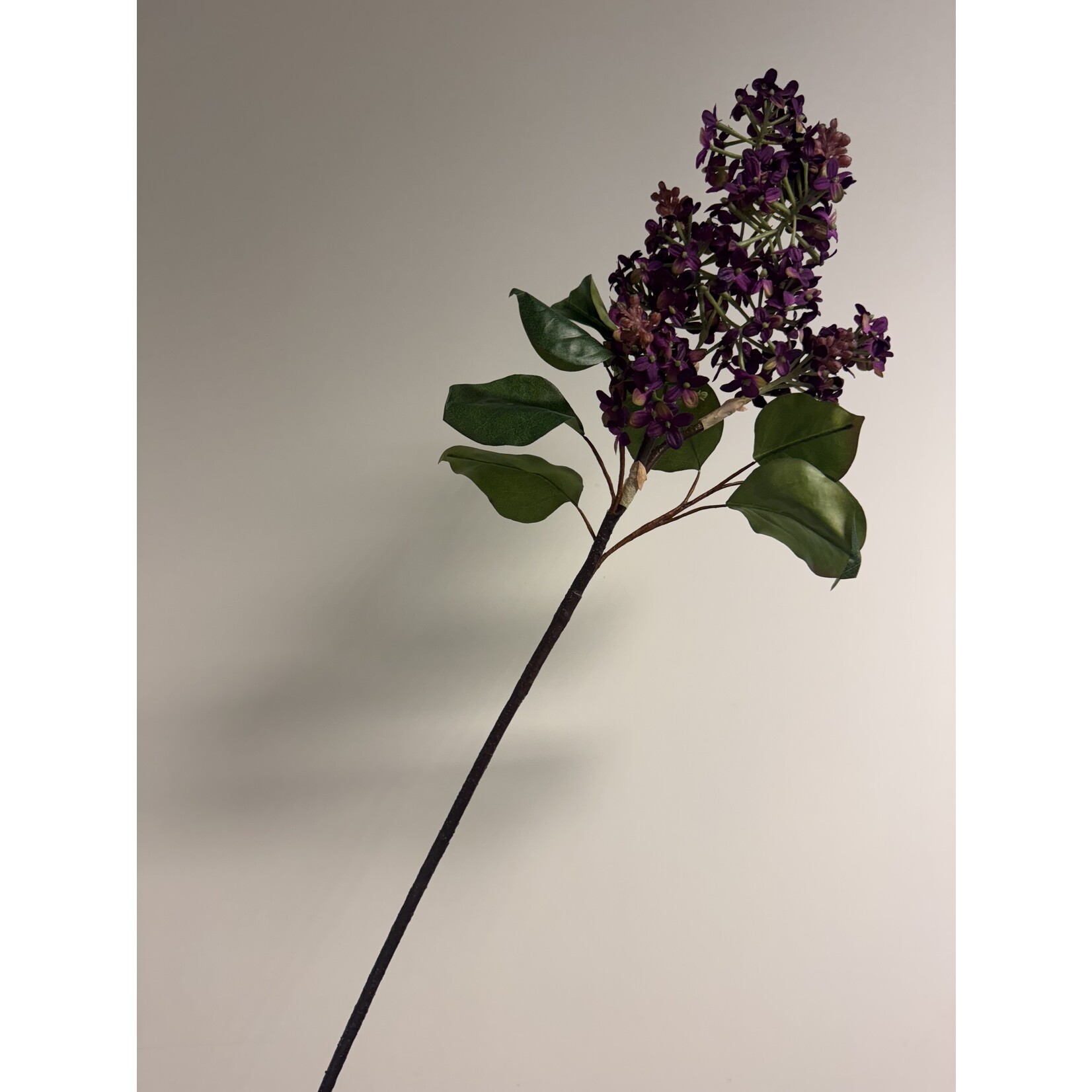 LILAC BRANCH CHARLES JOLY | PURPLE | 82 CM