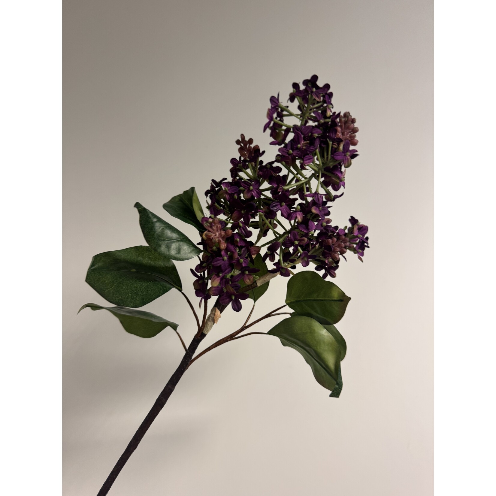 LILAC BRANCH CHARLES JOLY | PURPLE | 82 CM