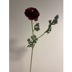 RANUNCULUS | BURGUNDY| 68 CM