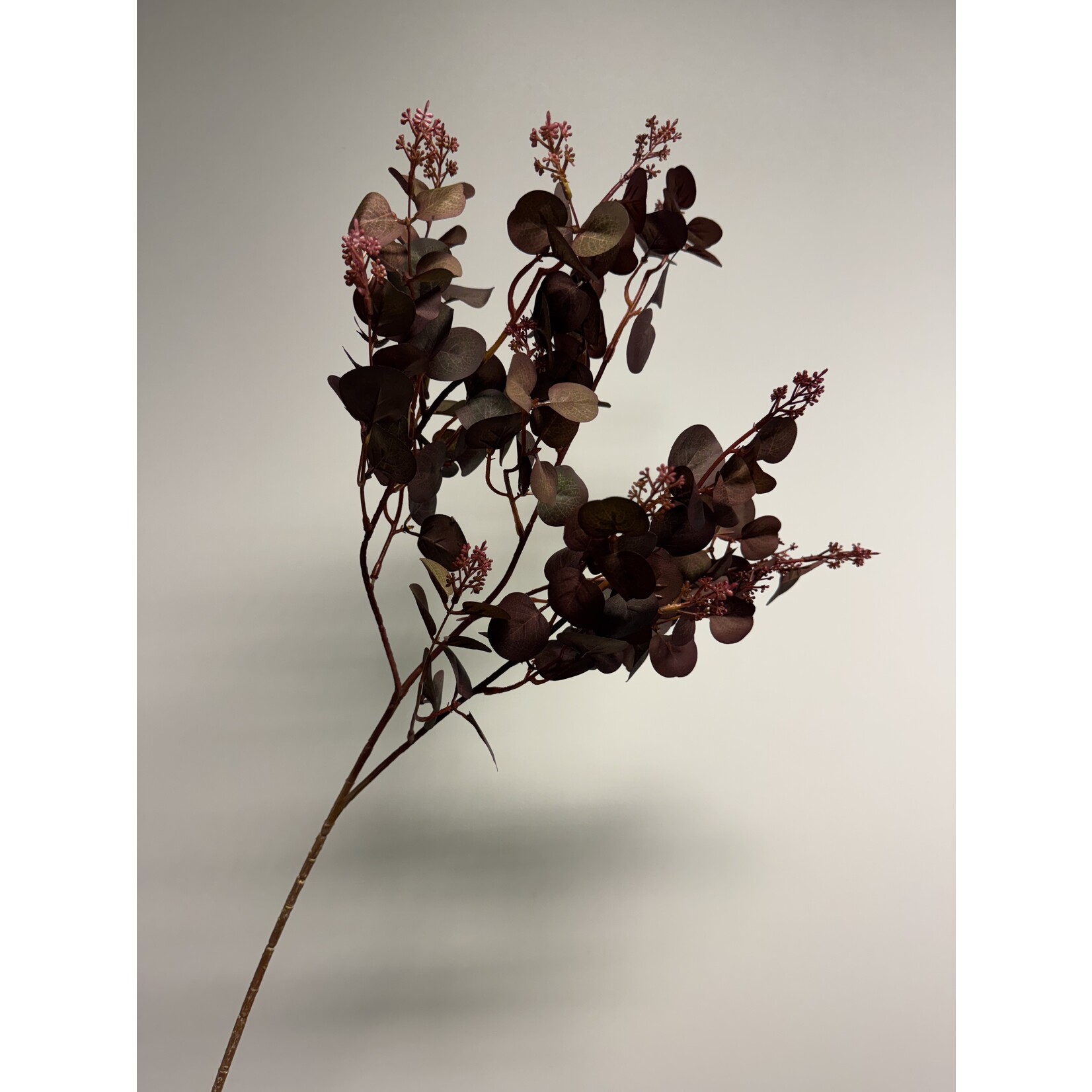 EUCALYPTUS PARFIVOLIA | BURGUNDY GREEN | 79 CM