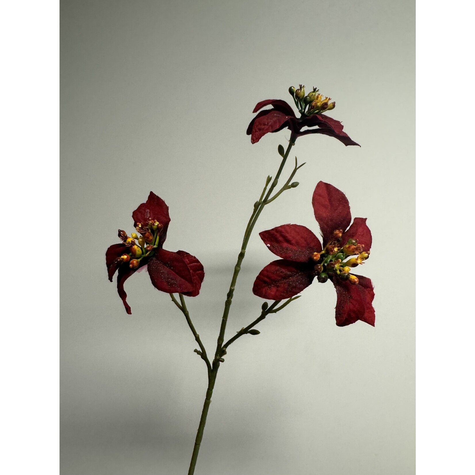 POINSETTIA | RED | 43 CM