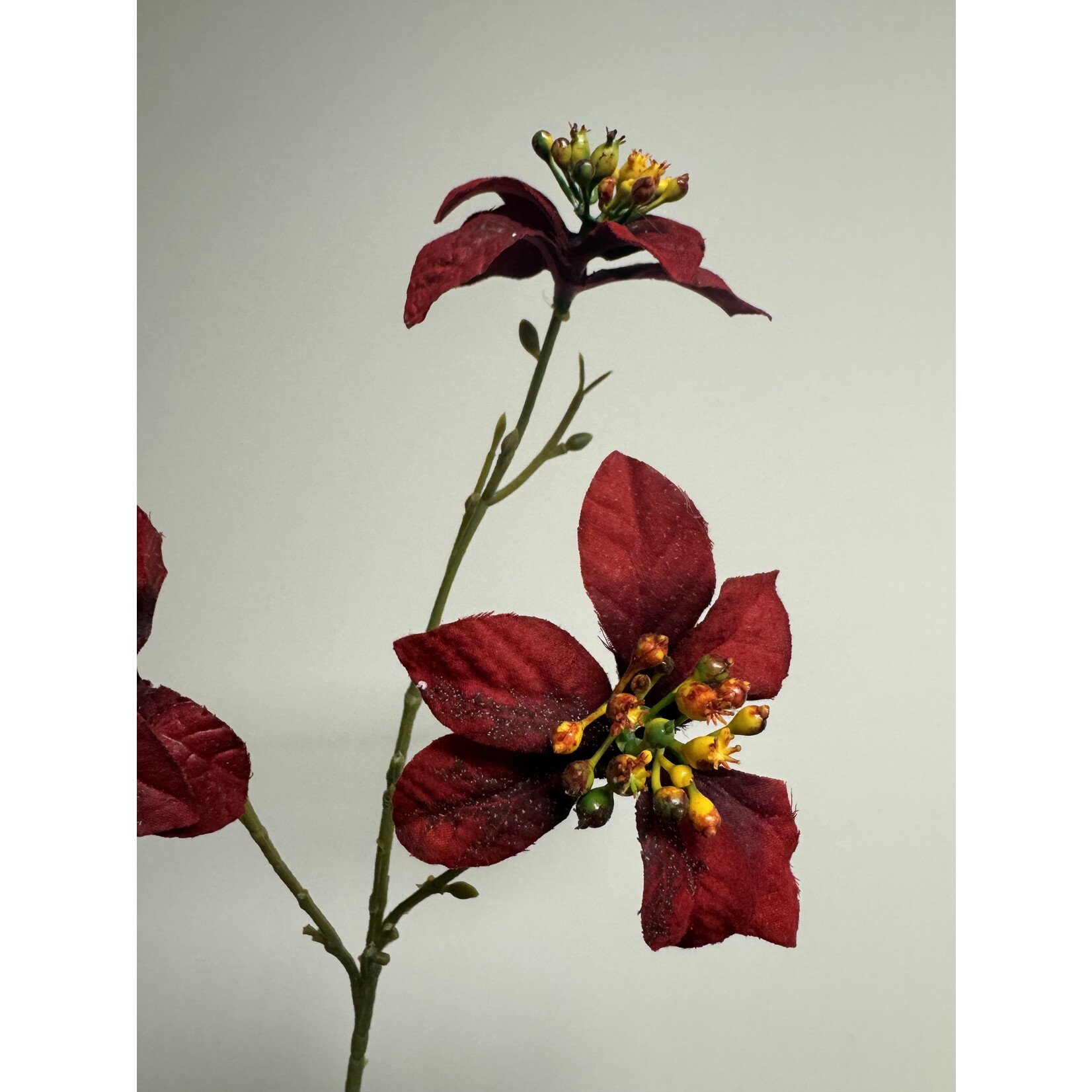 POINSETTIA | RED | 43 CM