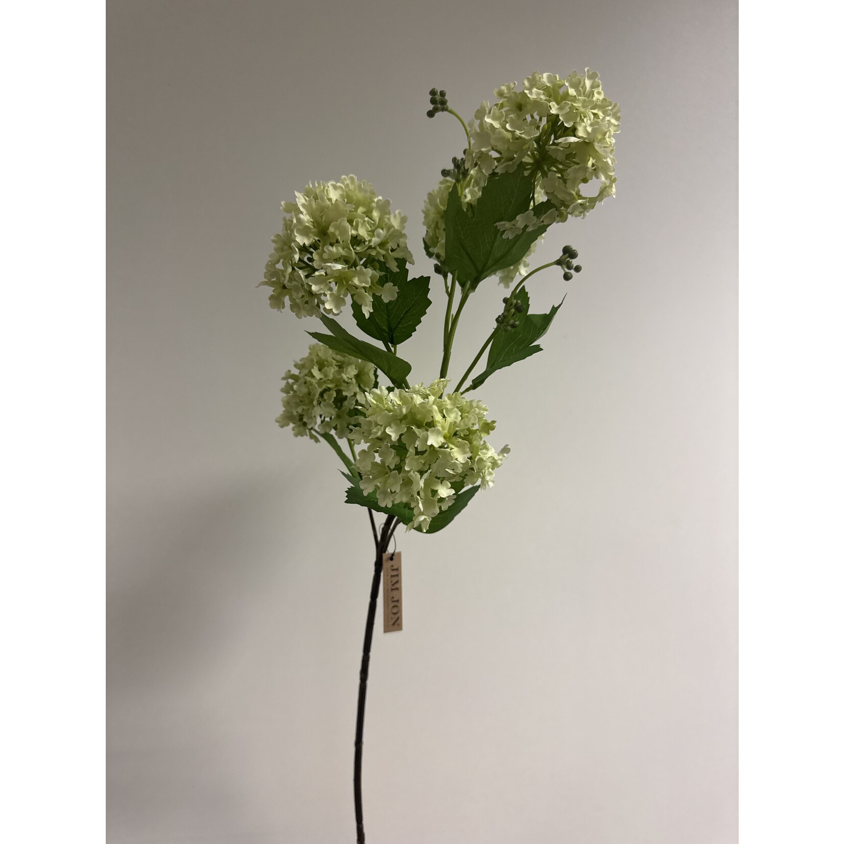 VIBURNUM | GREEN | 80 CM