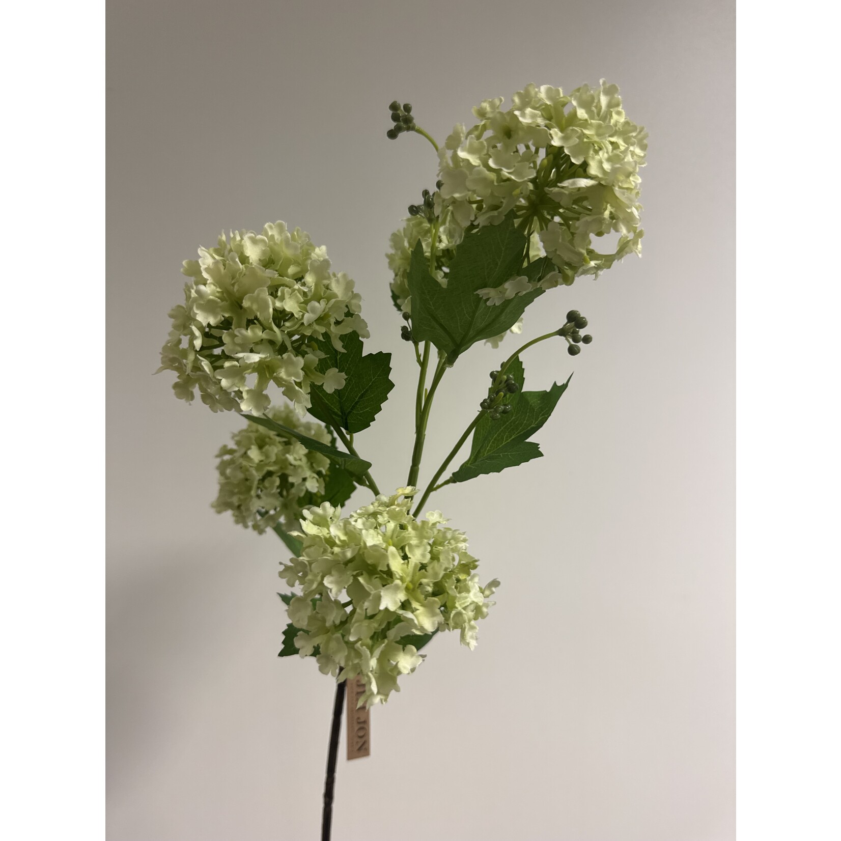 VIBURNUM | GREEN | 80 CM