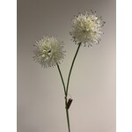 ALLIUM | WIT | 60 CM