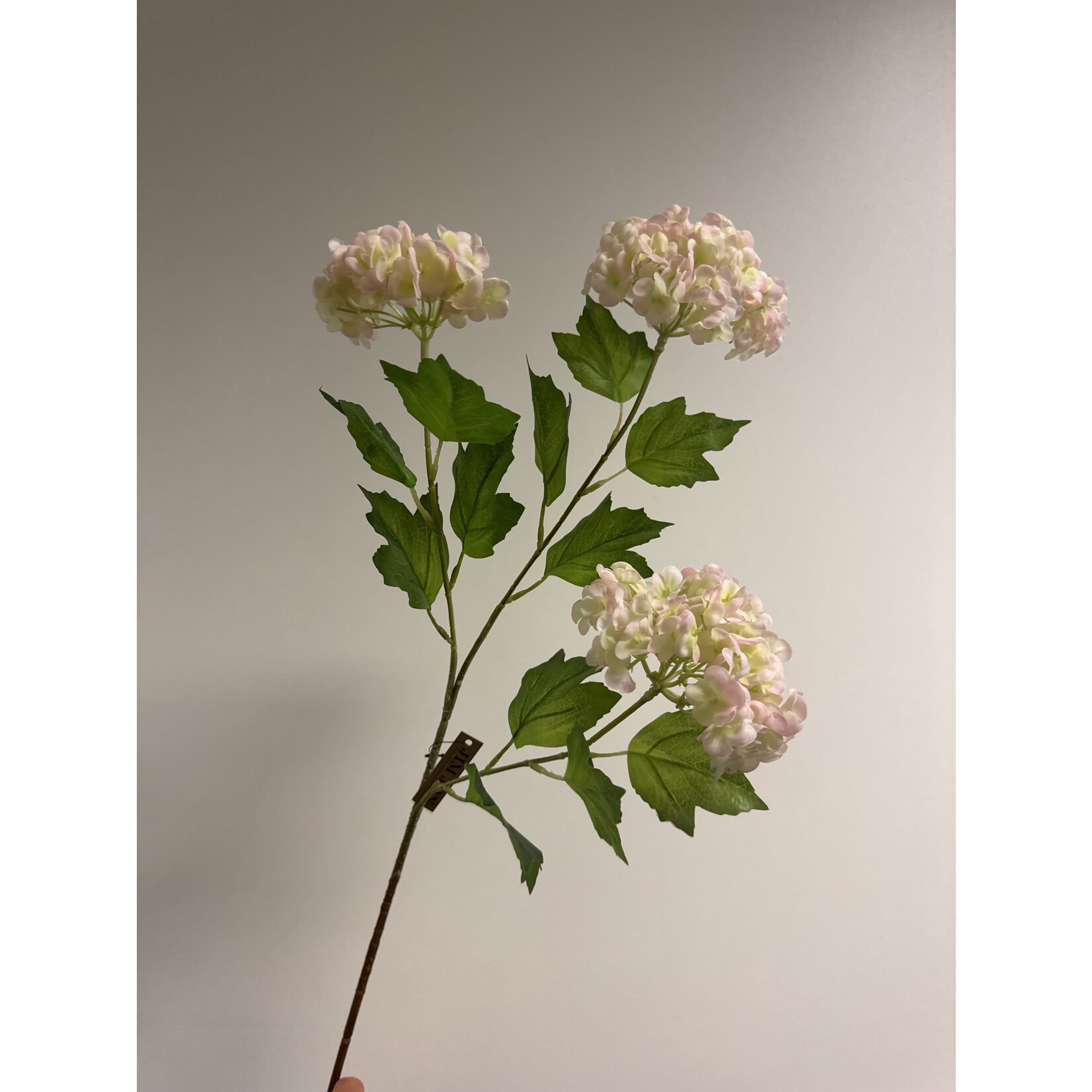 VIBURNUM | LIGHT PINK | 70 CM