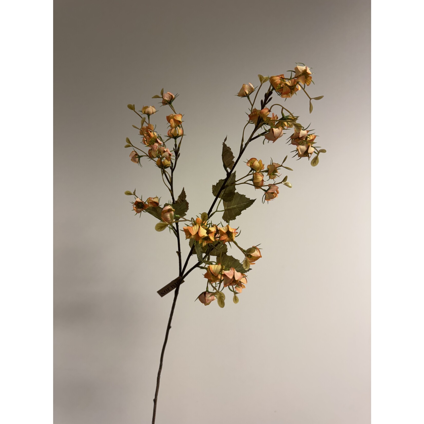 BESSENTAK BITTERSWEET | GEEL | 92 CM