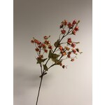 BESSENTAK | ORANJE |  92 CM