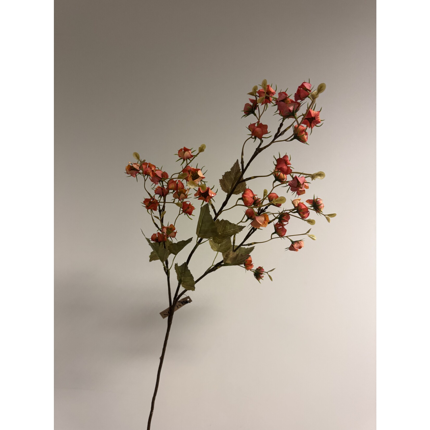 BESSENTAK BITTERSWEET | ORANJE | 92 CM
