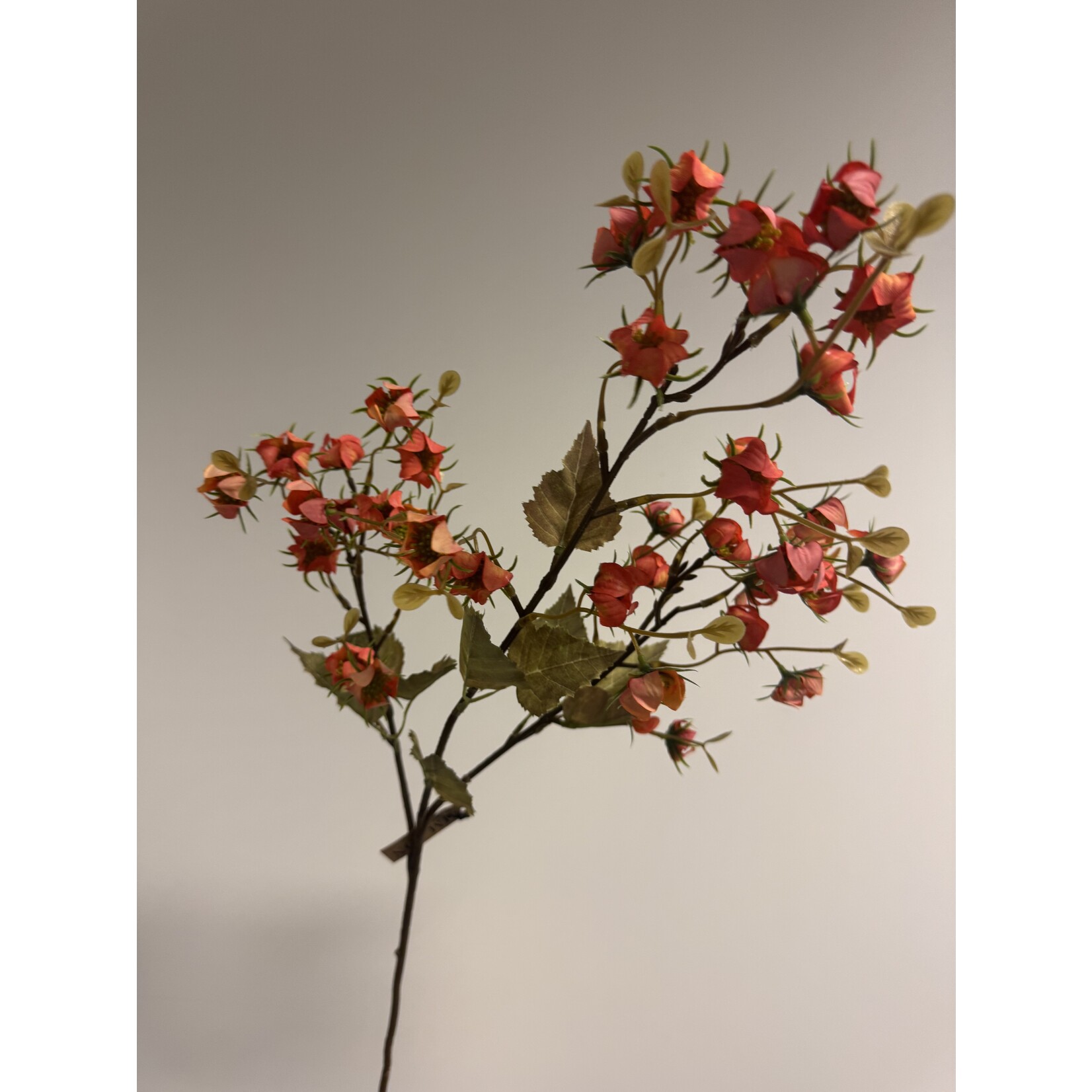 BESSENTAK BITTERSWEET | ORANJE | 92 CM