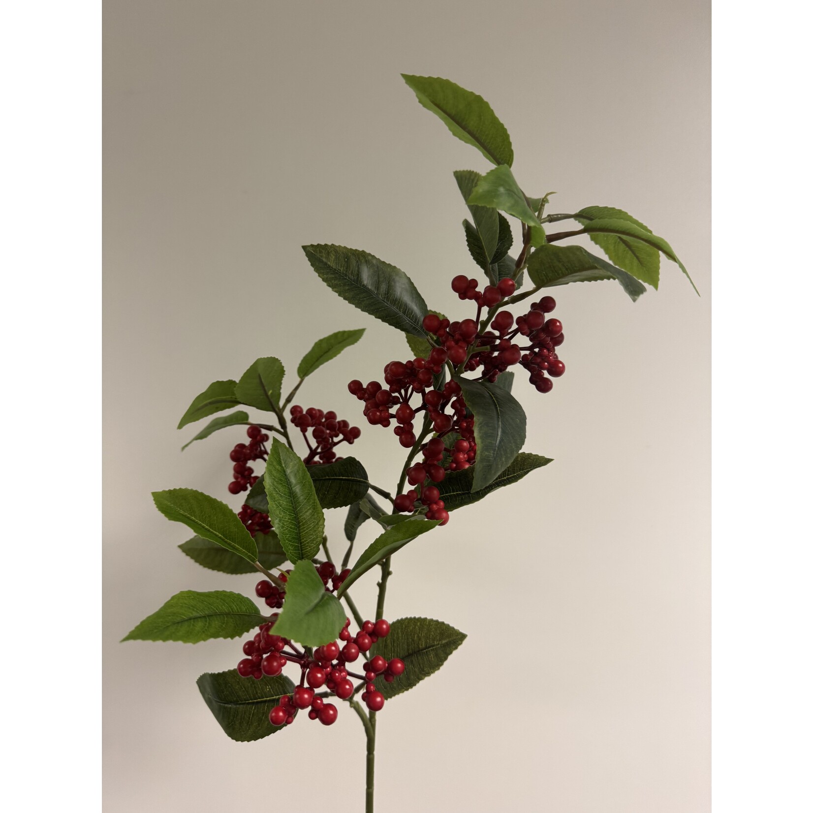 BESSENTAK | ROOD |  88 CM