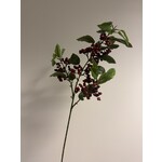 BESSENTAK | ROOD ORANJE |  88 CM