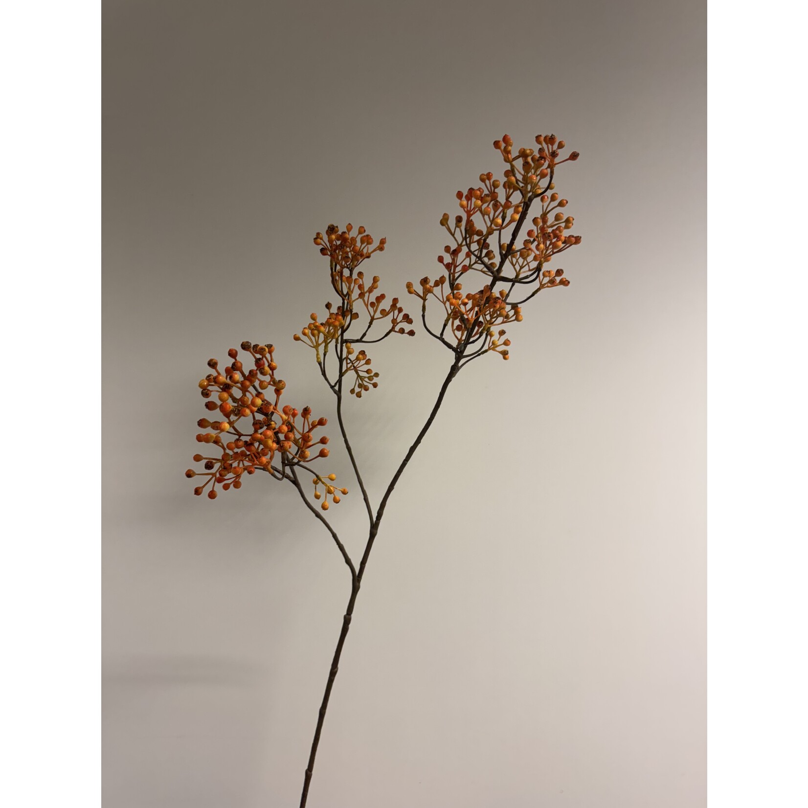 BESSENTAK | GEEL |  90 CM