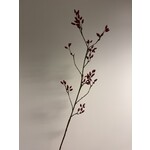 ROZENBOTTEL | ROOD | 115 CM