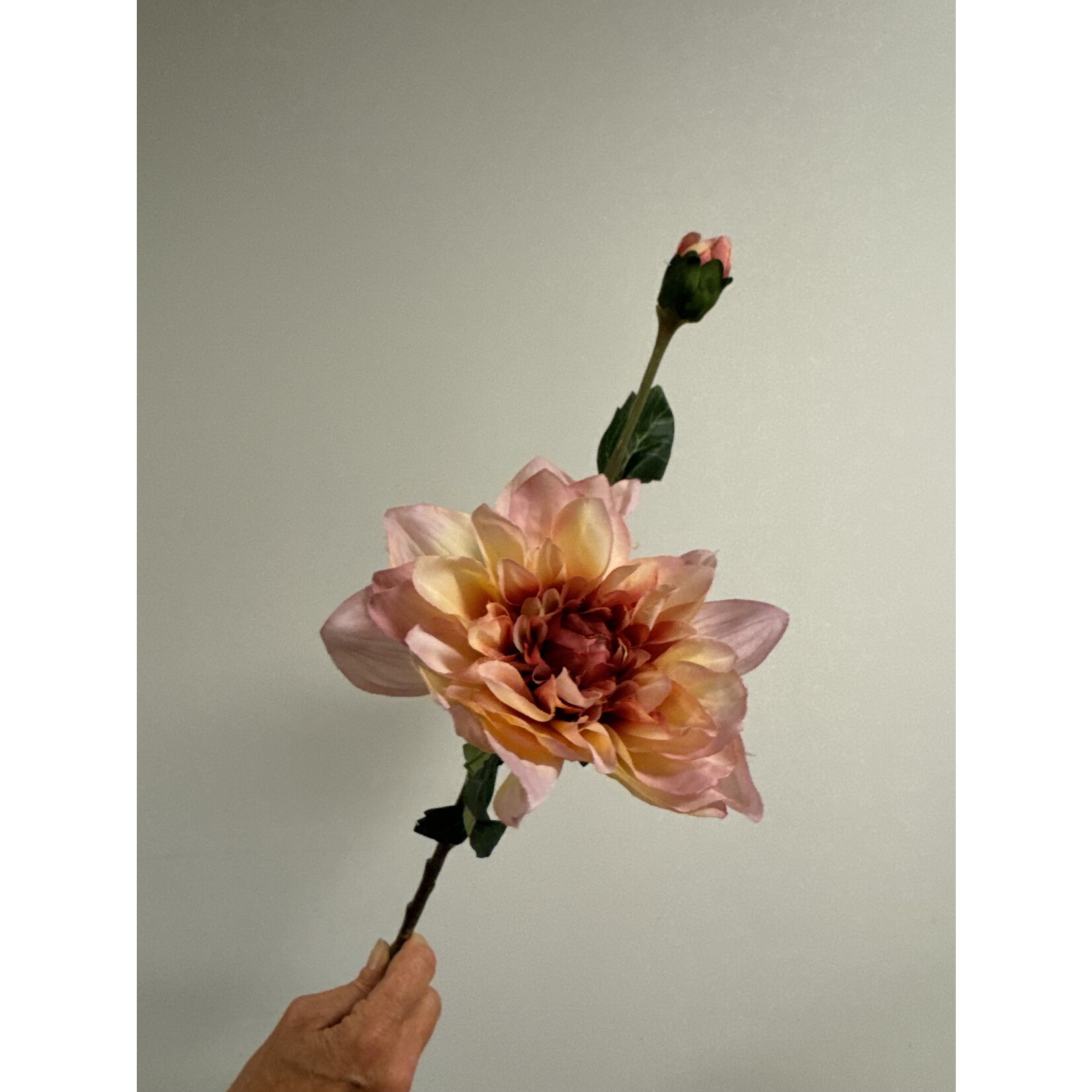 DAHLIA BRANCH MOODY DAHLIA | MAUVE |  45 CM