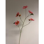 DAHLIA XL  | ROZE | 108 CM