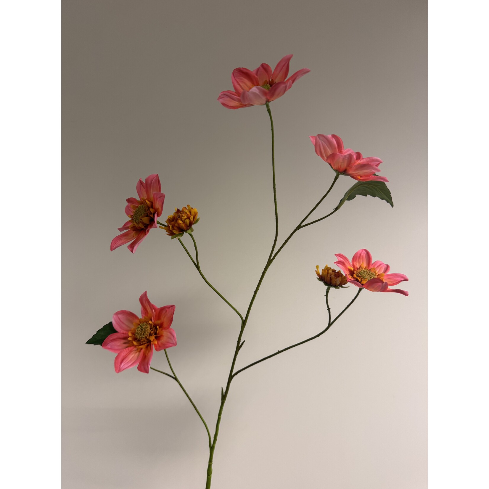 DAHLIA XL  | ROZE | 108 CM