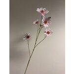 DAHLIA XL  | LIGHT PINK |  108 CM