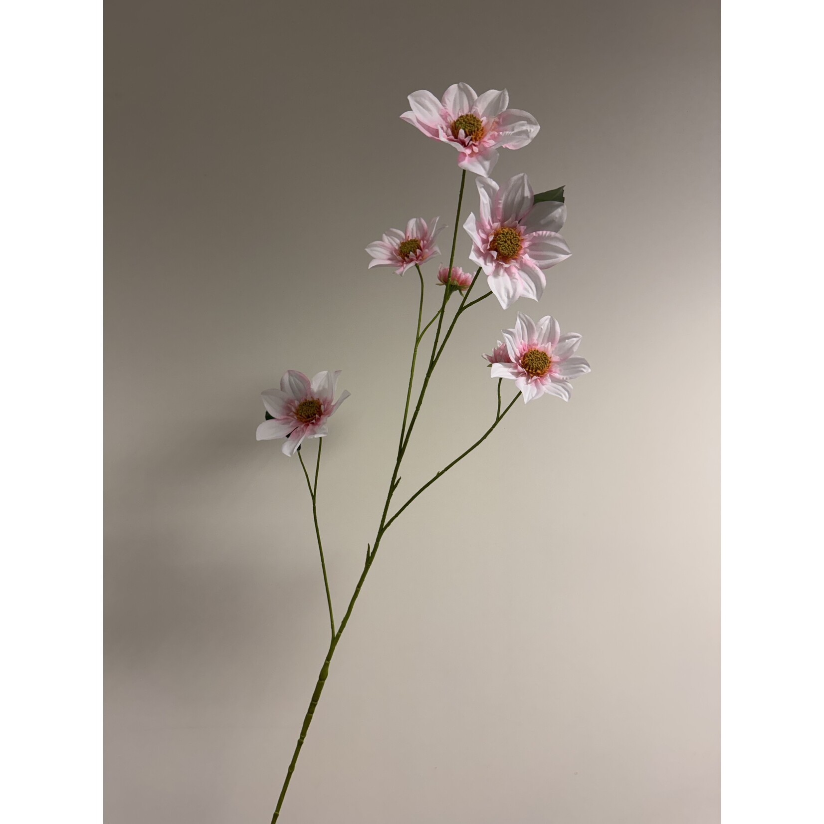 DAHLIA XL  | LIGHT PINK |  108 CM