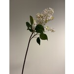 LILAC BRANCH | WHITE | 82 CM
