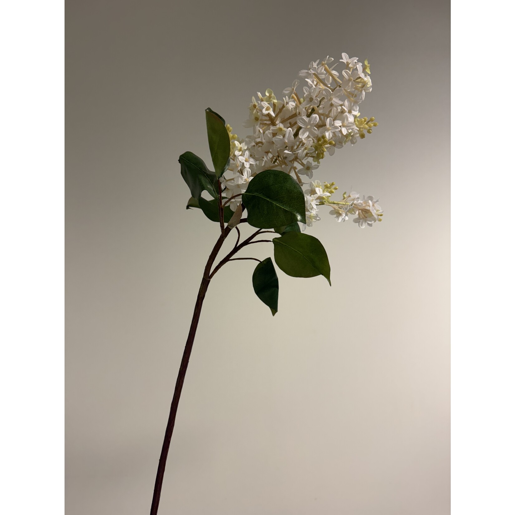 LILAC BRANCH MILLERTON POINT | WHITE | 82 CM
