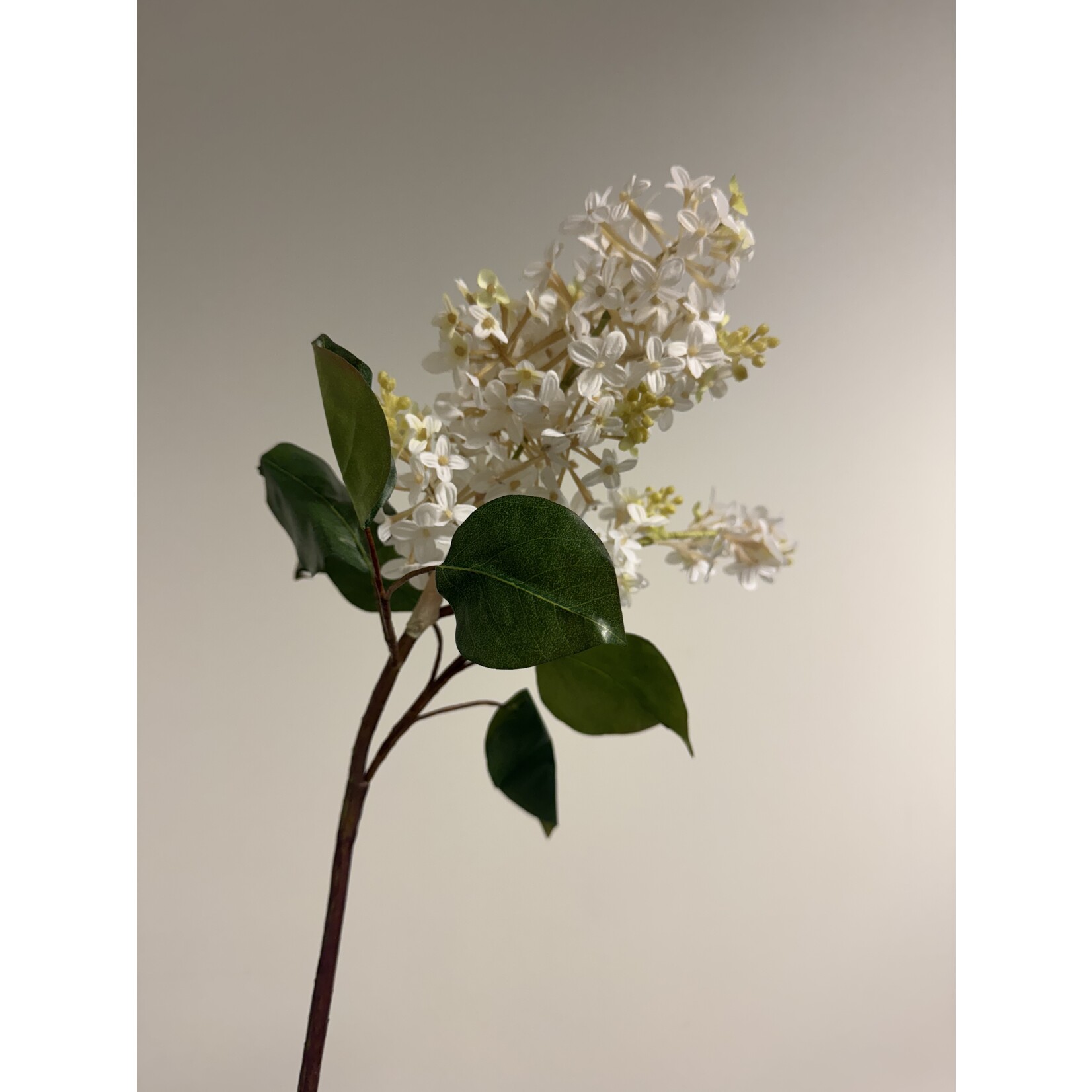 LILAC BRANCH MILLERTON POINT | WHITE | 82 CM