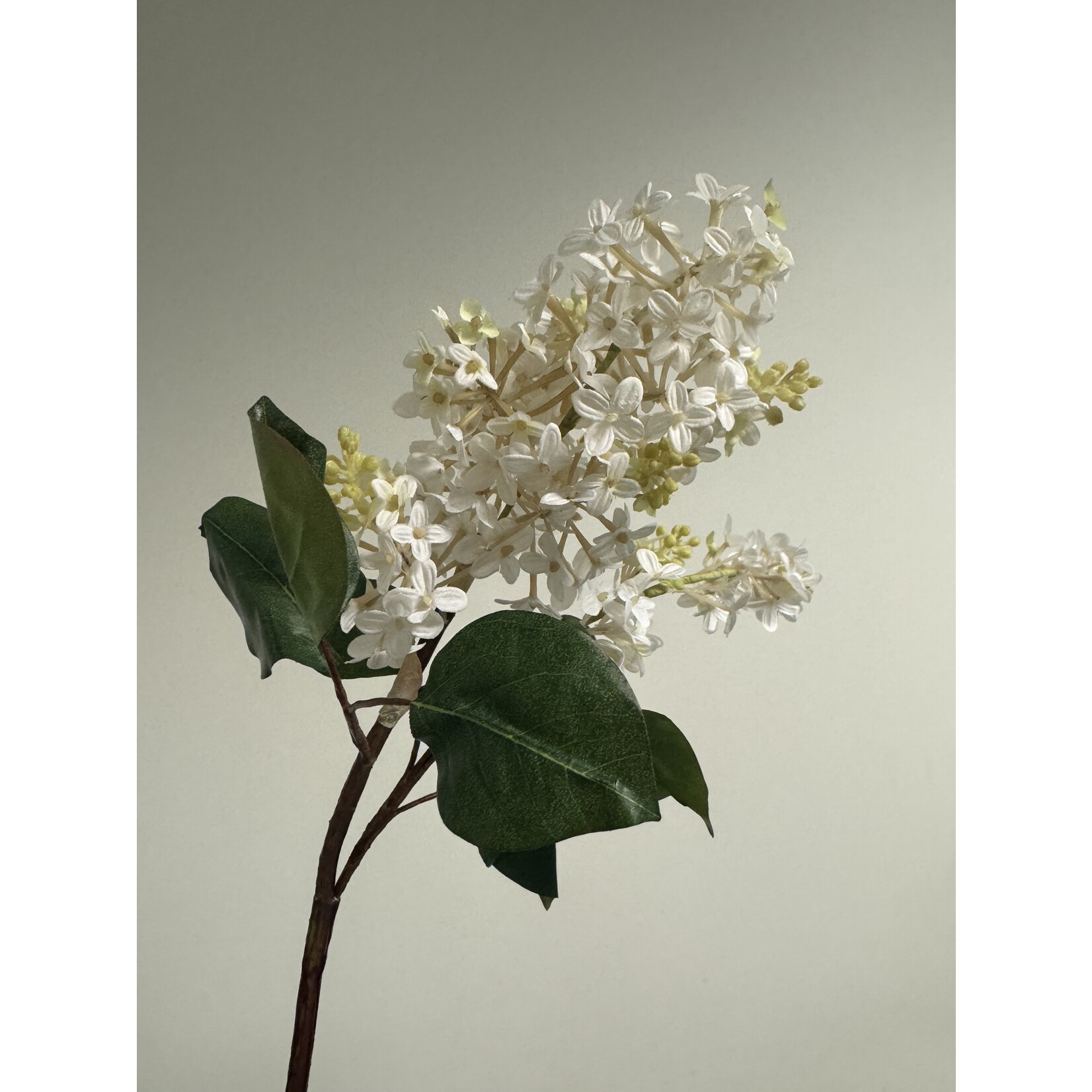 LILAC BRANCH MILLERTON POINT | WHITE | 82 CM