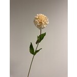 DAHLIA  | CREAM |  67 CM
