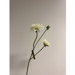 DAHLIA  | WHITE GREEN |  50 CM