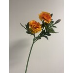 FRENCH MARIGOLD | ORANGE |  55 CM