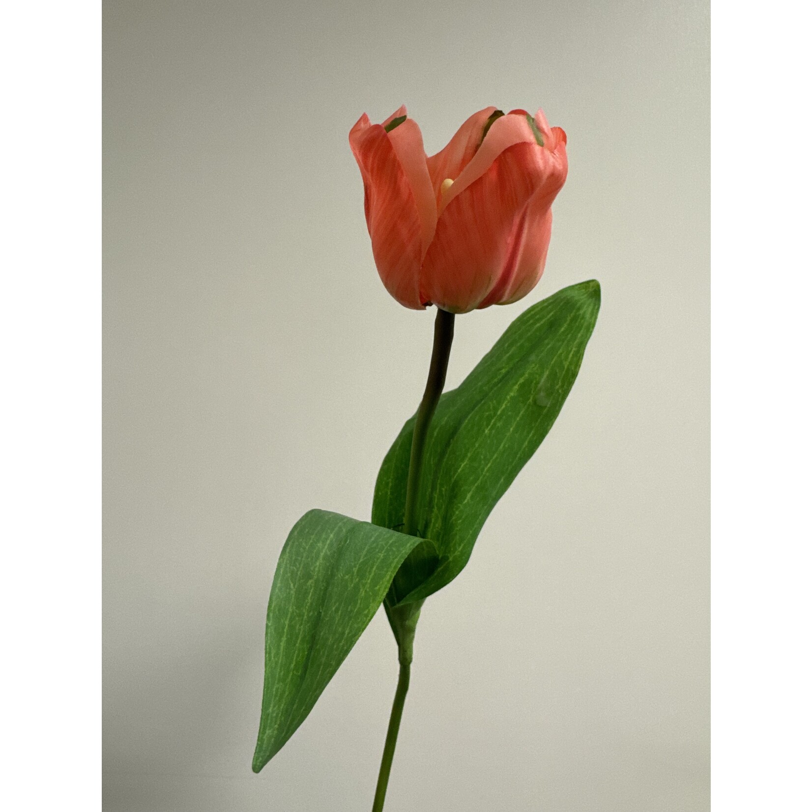 TULIP | PINK ORANGE | 45 CM