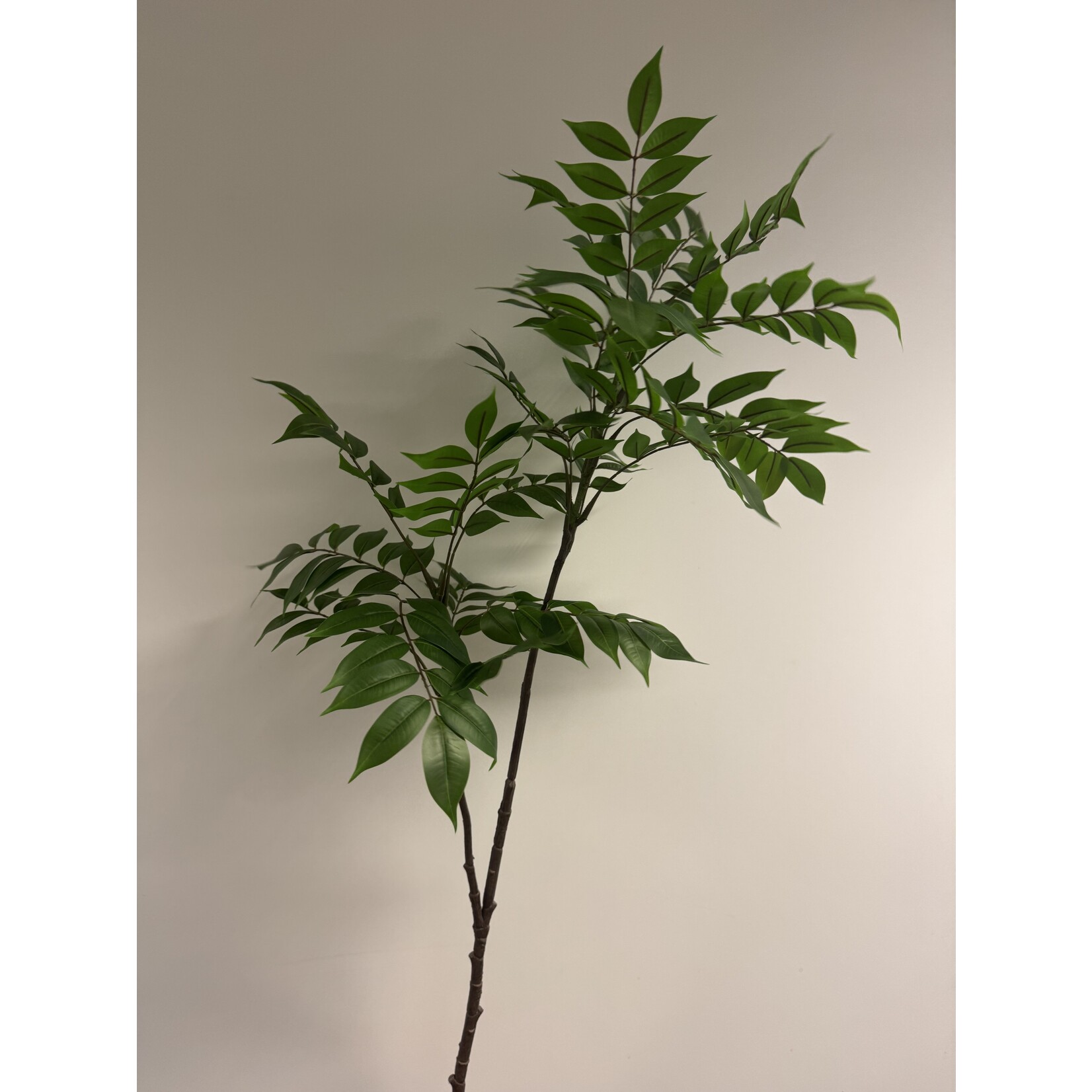 BLADTAK XL  | GROEN | 120 CM